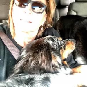 Meet your Posher, Dawn